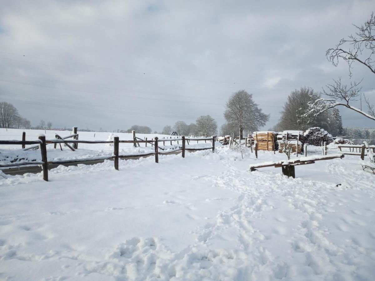 Gite Le Cheval Ardennais Гуви Экстерьер фото
